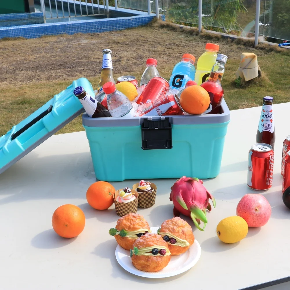 12L 13Qt Mini Cooler Box Portable Insulated Container Thermal Ice Chest for Beach Camping Picnic