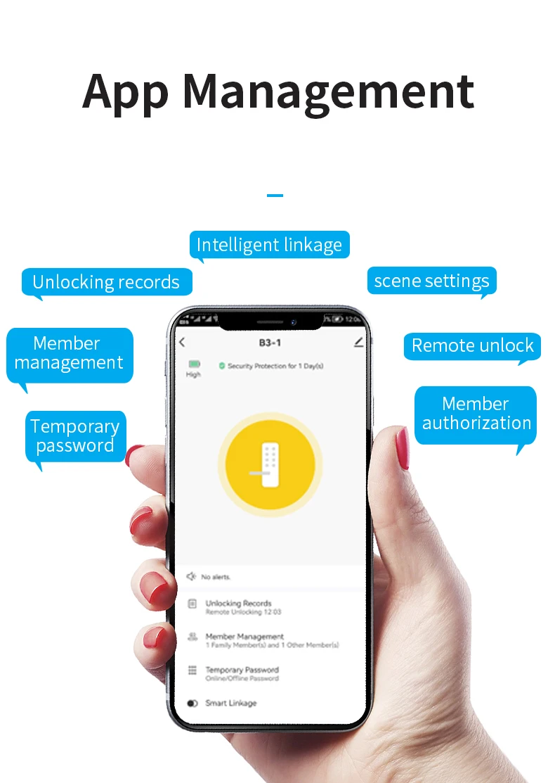 Factory Price Access Wifi Tuya Lock Electronic Door Locks for Homes Password App Unlocking Electronic Smart Door Lock