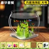 Large Square Bottom Bubble Tank - Deluxe Package