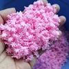 5mm rosa