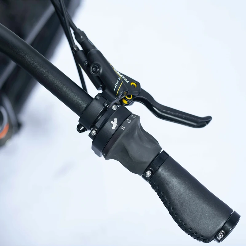 Rohloff 14 Speed Hub Belt Driving Electric Fat Bike Big Capacity 30ah Li Battery E Bicycle With Bafang M620 MID Drive System