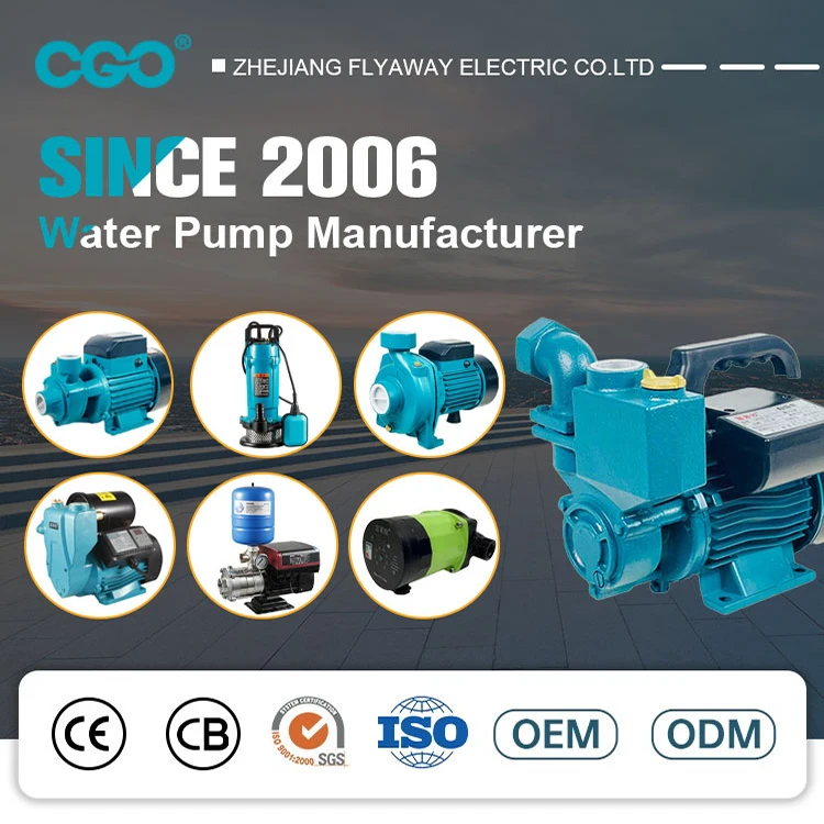 Qdx Low Flow 1 Inch 160-220V 0.55Kw 0.75 Hp 20M Head Clean Water Electric Pumps Submersible Tube Well Water Pump