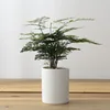 Style 2 8 * 9.5cm