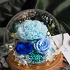 Blue Carnation