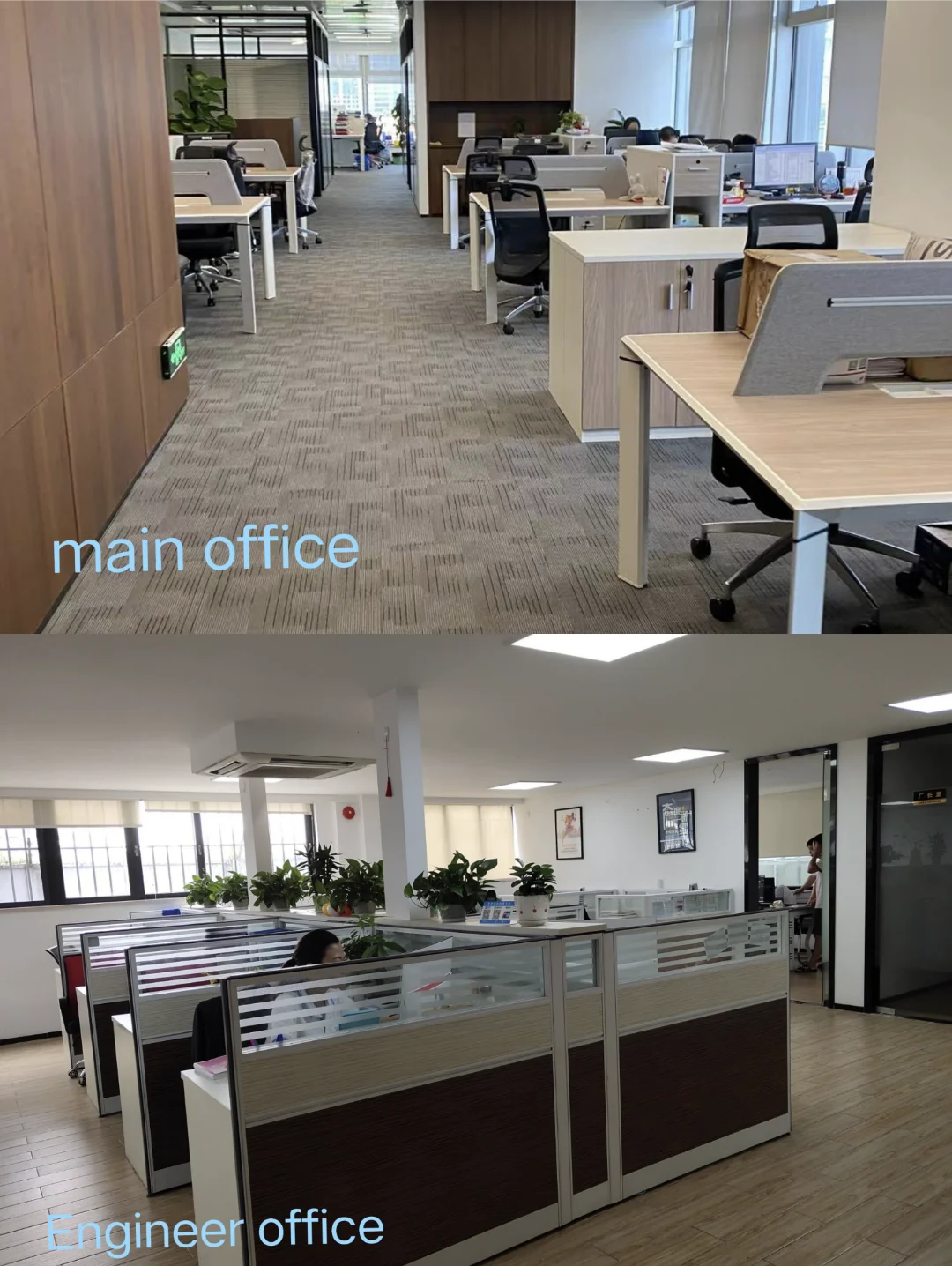 office