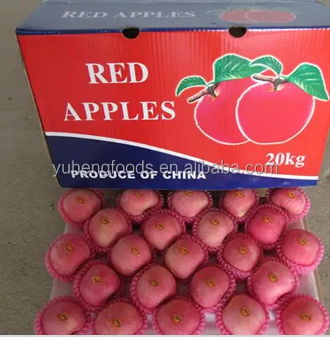 Fuji apple 5.jpg