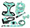 Mint Green Coral Starfish Ocean Print