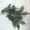N.º1 gris verde