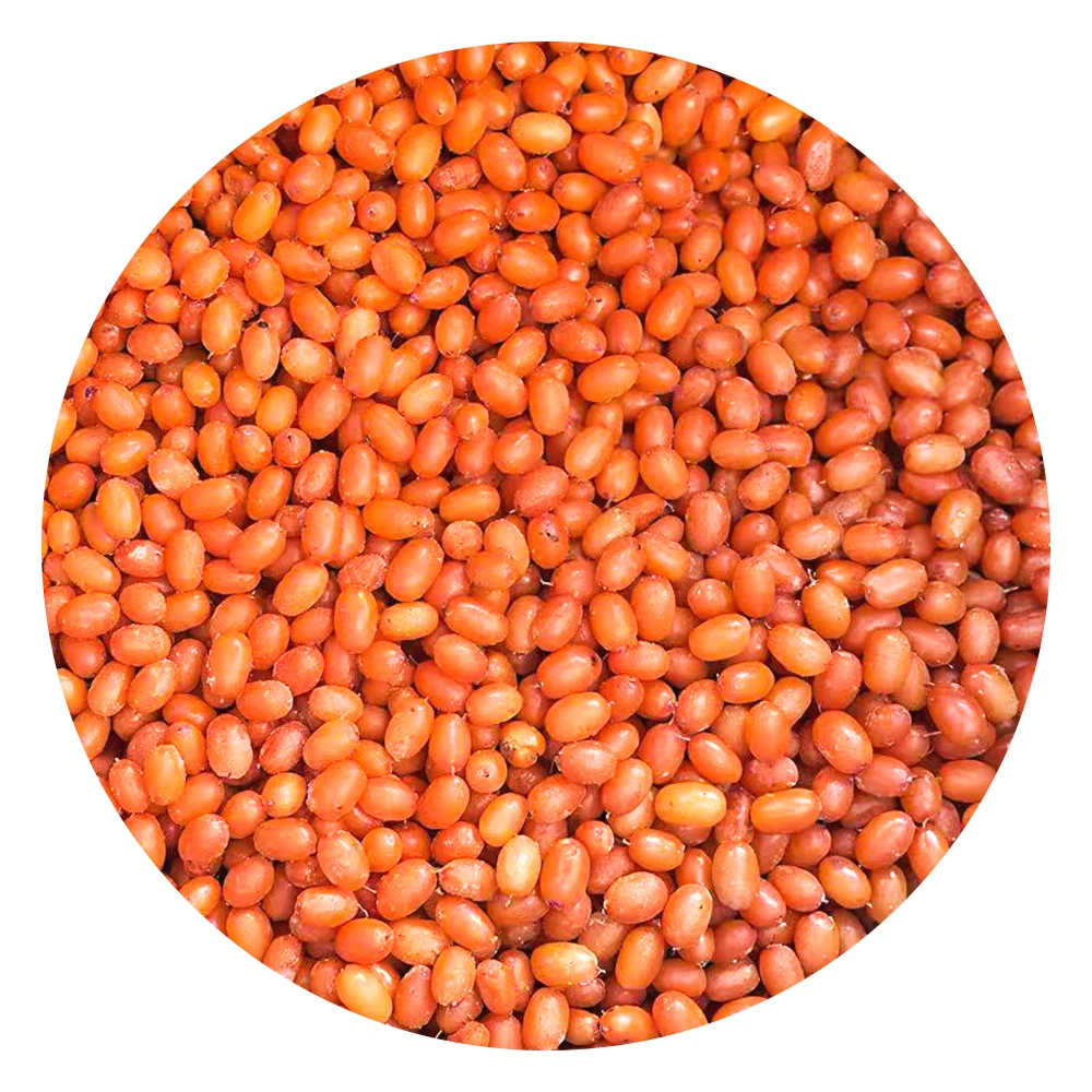 IQF Təzə Dondurulmuş Dəniz Qarası Toptan Qiyməti IQF Dondurulmuş Meyvələr Partiyası 10 kq Dondurulmuş Dəniz Qarası