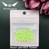 Flor de resina 7