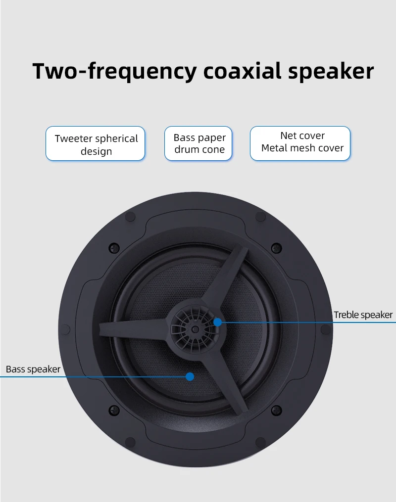 Brzhifi Active Wireless Ceiling Speakers Bluetooth Multiroom Wifi2.4&5g