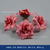 Autumn rose flowers, red