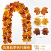 Maple vine - G (1.75 meters) 32 heads