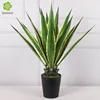 0.92M19 Leaf Agave (Yellow)