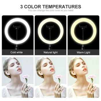 CCT Dimmable Ringlight  3000K-6500K Photography Makeup  10 Inch LED Ring Light detail image