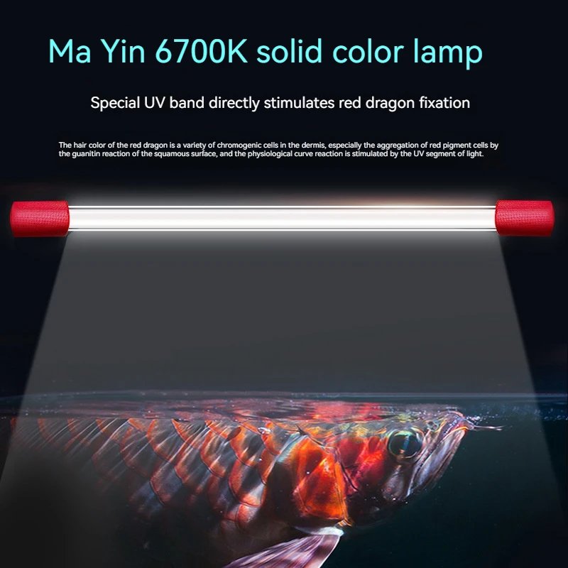Mayin LED Aquarium Lights - Efficient & Reliable Solutions