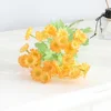 Arancione