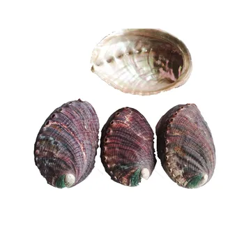 Ha9c5d951a94a47f6833644efba7f1