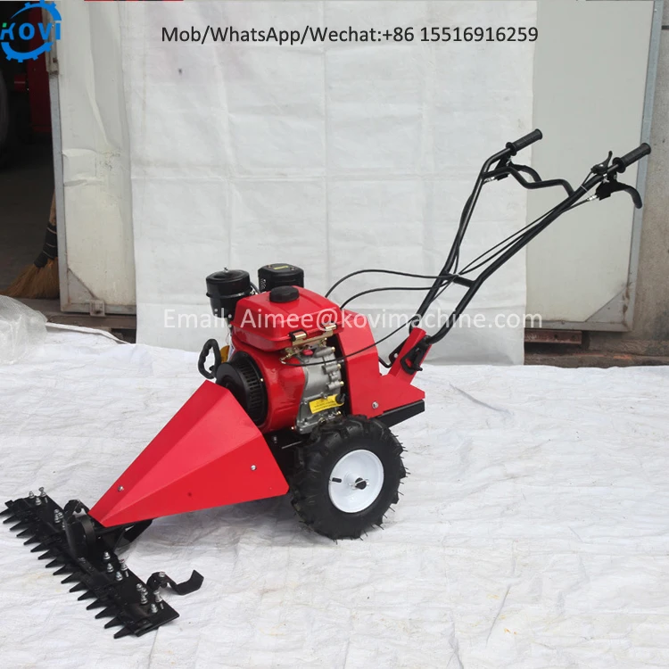 Handheld Push Lawn Mower Machine Grass Cutting Machine Grass Cutter Machine Gasoline Lawn Mower