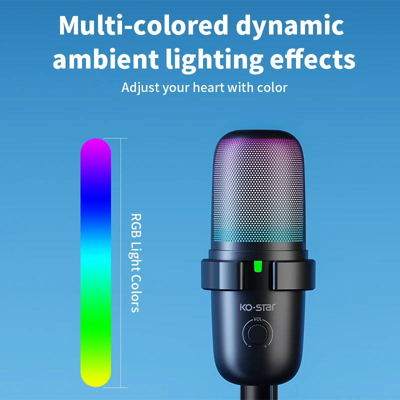 Professional Omnidirectional Desktop Microphone Low Frequency Microphone Condenser Microphone and Audio Interface