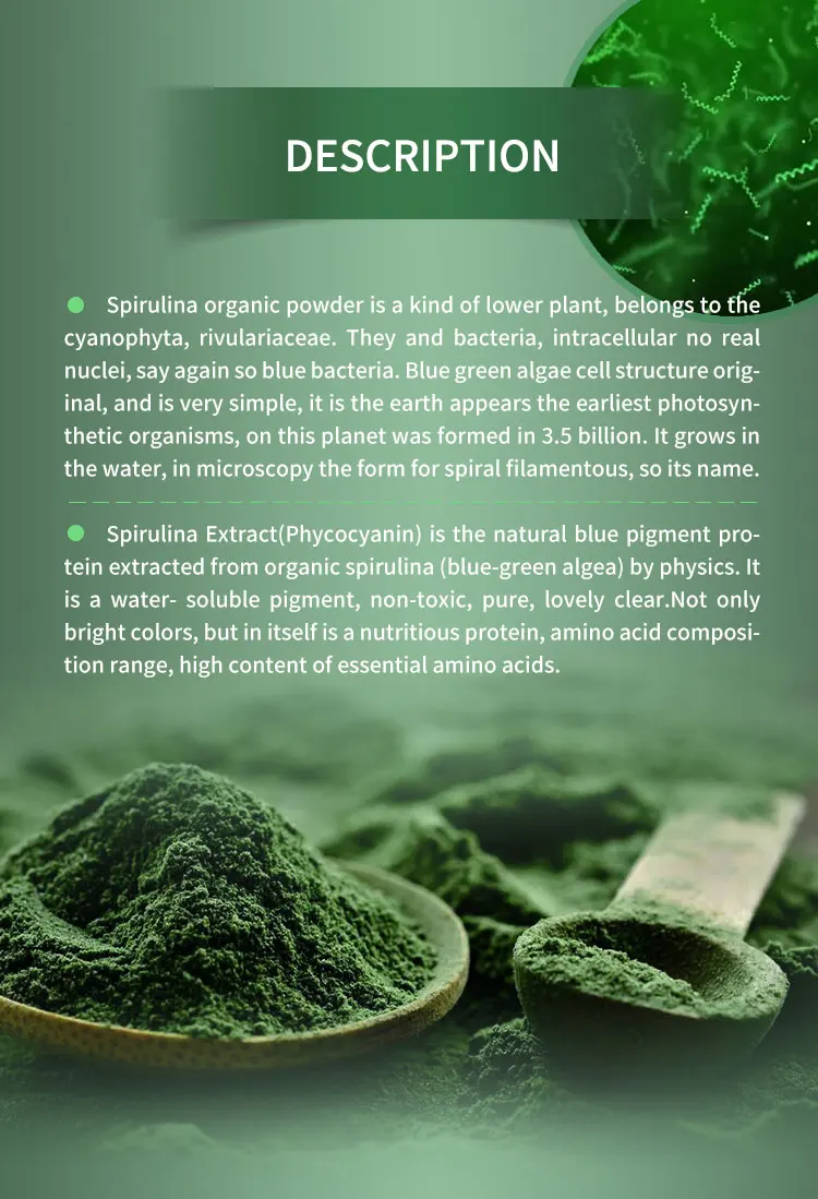 High Quality Bulk Organic Spirulina Chlorella Protein Powder Spirulina