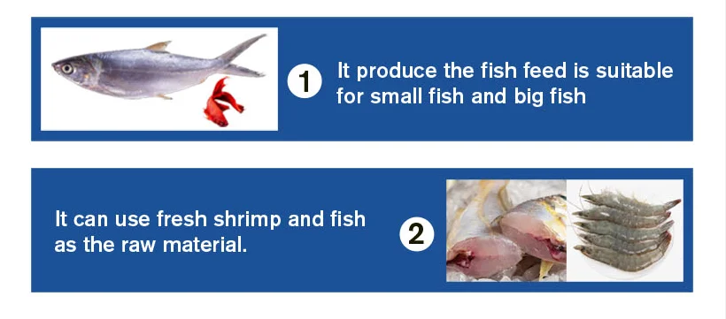 Twin screw fish food processing line