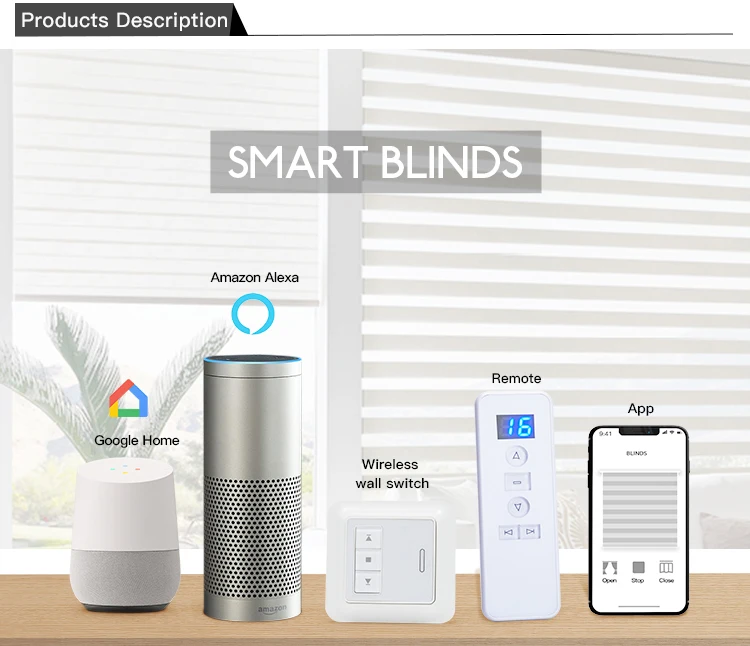 Tuya Wifi Alexa Zigbee Double Zebra Window Roller Shades Blinds