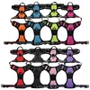 8 colores