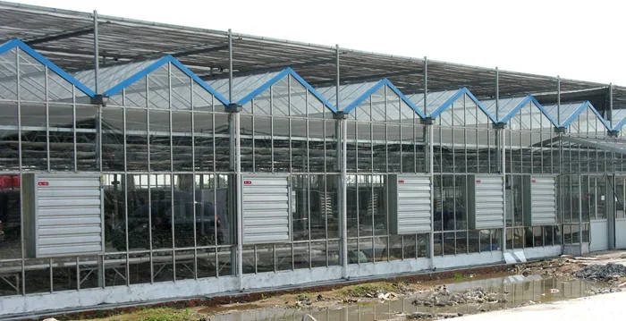 exhaust fan in greenhouse