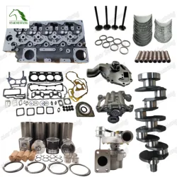 Conjunto de reparação Perkins
