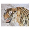 Un tigre-D