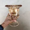 20cm ambra