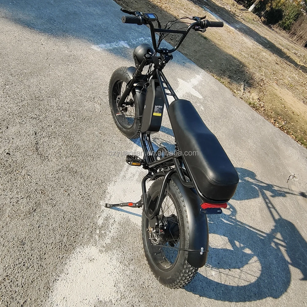 dyu egret electric bike