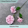 Rosa autunnale