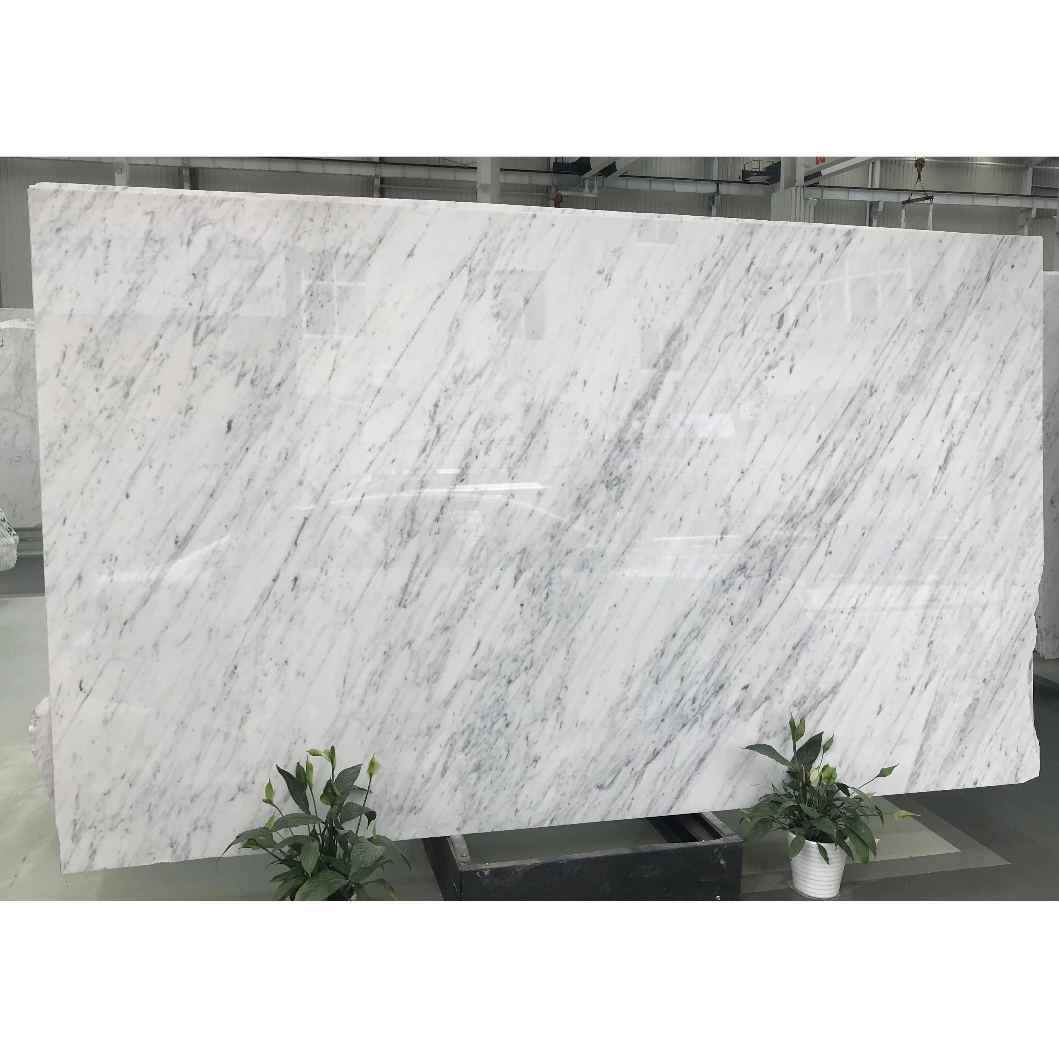 SH STONE Customized Natural Pisos De Marmol Italian Stone Italy Bianco White Carrara Marble Slabs with Good Price for Flooring