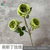 Austin Rose Y Vert