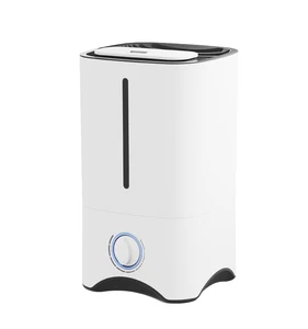 Hotsales Source Factory Cheap Price PP OEM Customized  Cool Hot Warm Mist Steam Room Ion Digital Ultrasonic Air UV Humidifier