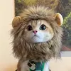 Little lion