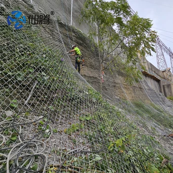 High Quality Slope and Landslide Protective Mesh System Barrier Netting for Rock Falling protection Custom Cutting