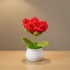 Pianta in vaso di rosa rossa a foglia appuntita