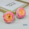 Light Rose Red