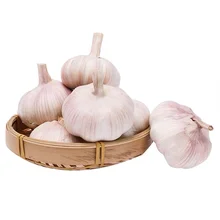 Fresh Garlic White Bag Crop Style Time June Food Newest Color Package Weight Normal Net Origin Type Shandong