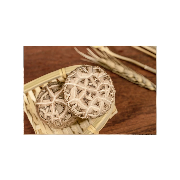 Прямые продажи с завода, сушеные органические грибы Shiitake