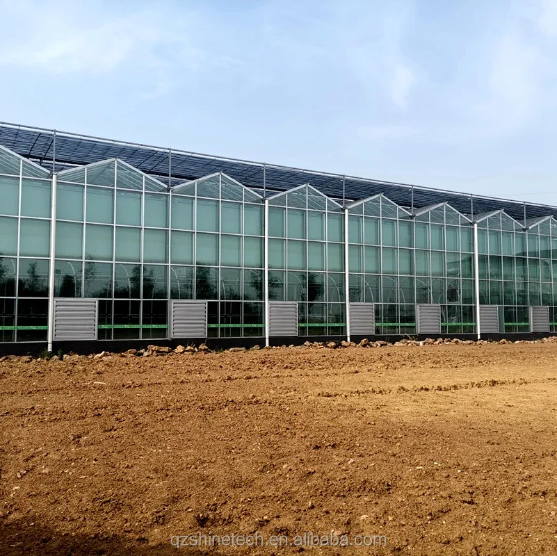 Tempered Glass greenhouse