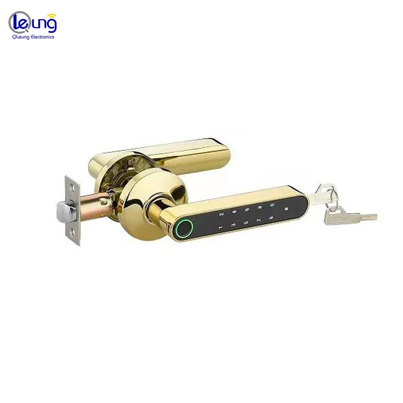Qleung S604L Smart Fingerprint Door Lock With Wifi Tuya App Control Keyless Password For Bedroom Tuya Home 6