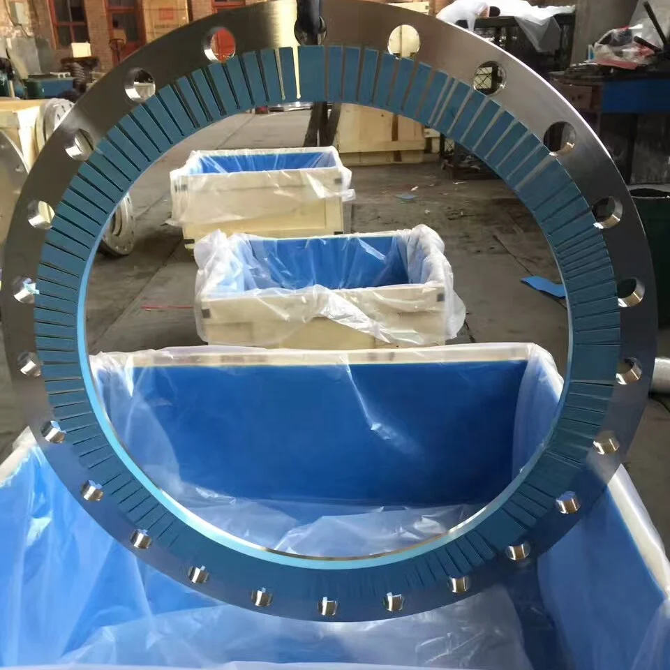 Drawing Customized Stainless Steel SS 304 316 EN1092-1 Type 01 PN10 PN16 DN300 PL  FF Flat Face Loose Plate Flange Plate Flange