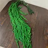 Verde 2