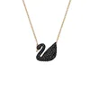 Oro rosa-cisne negro-talla grande