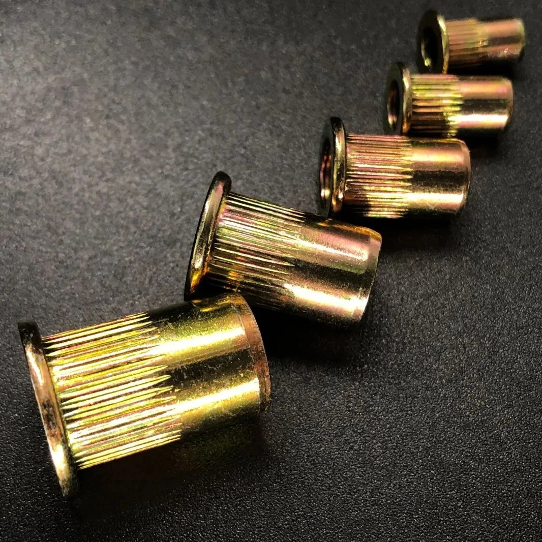Galvanized Carbon Steel Stainless Steel Flat Head Knurled Rivet Nut  Zinc Plating for Industry manufacture