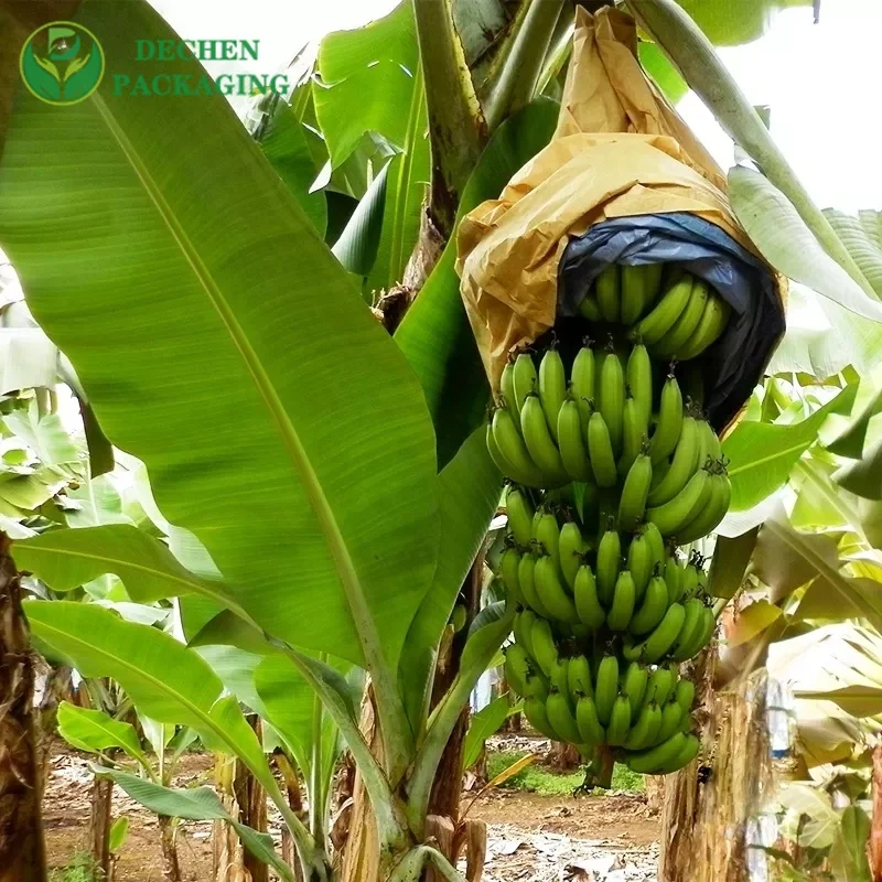 Custard Apple Guava Grape Protective Paper Bags Mango Fruit Packaging Covers Agriculture Wax Coated